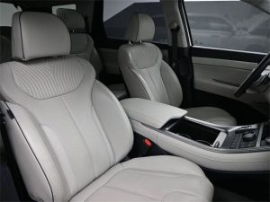 2023 Hyundai Palisade Calligraphy — thumbnail 10