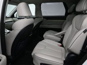 2023 Hyundai Palisade Calligraphy — thumbnail 17