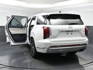 2023 Hyundai Palisade Calligraphy — thumbnail 29
